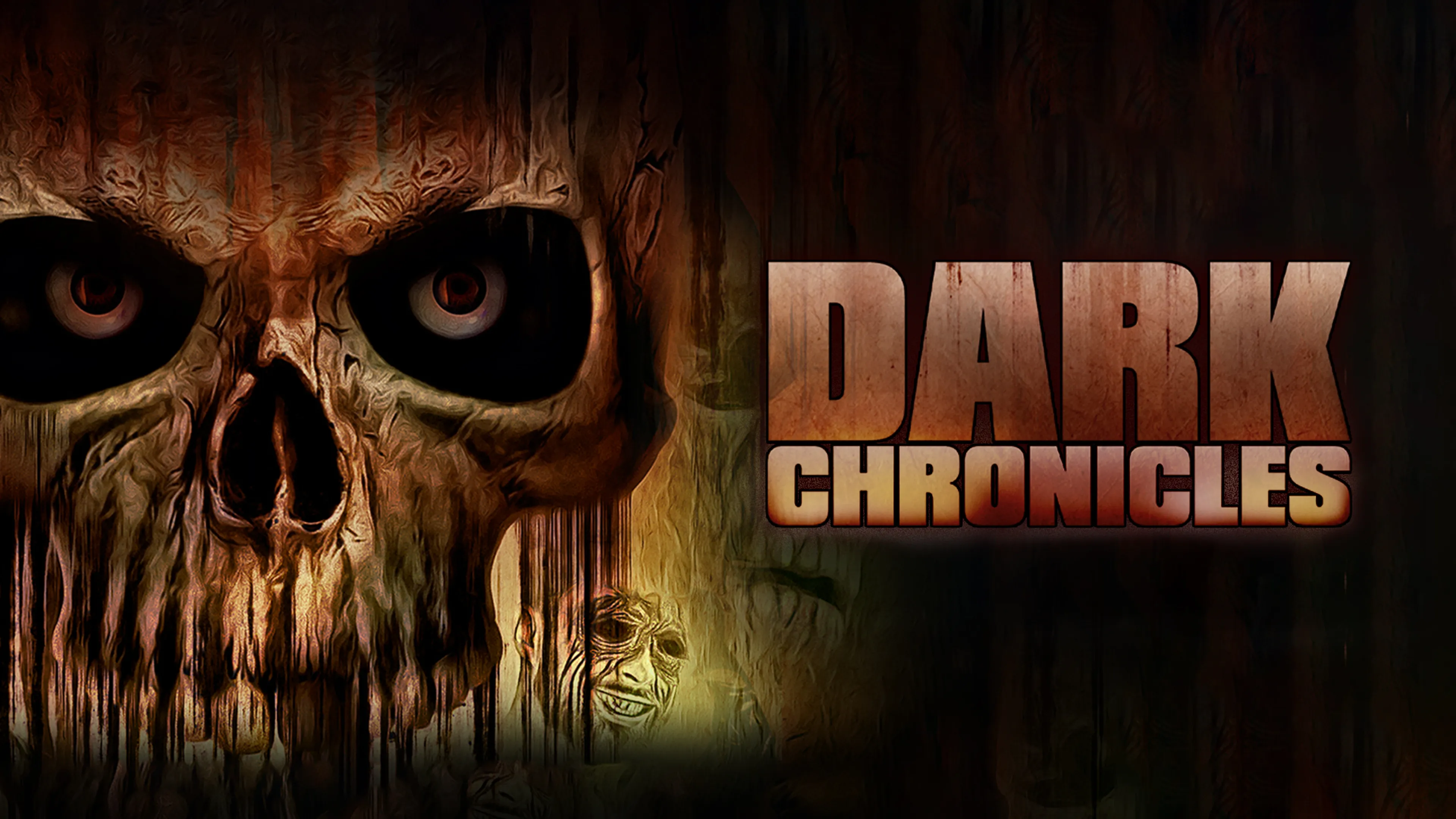 Dark Chronicles poster